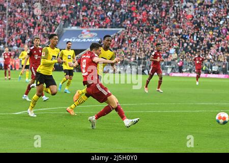 Munich, Allemagne. 23rd avril 2022. Robert LEWANDOWSKI (FC Bayern Munich) marque le but pour le faire 2-0, action, tir de but. Football 1st saison Bundesliga 2021/2022, 31.match, matchday31. FC Bayern Munich-Borussia Dortmund le 9th avril 2022, ALLIANZARENA Munich. Credit: dpa/Alay Live News Banque D'Images