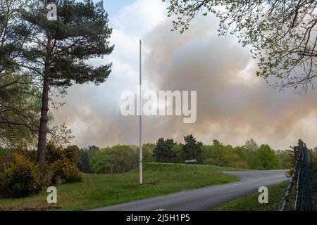 Chaîne des cendres, Surrey, Angleterre, Royaume-Uni. 23rd avril 2022. Un grand incendie de bruyère a éclaté dans la chaîne des Ash Ranges, une réserve naturelle de la lande située à l'ouest de Pirbright, dans le Surrey. Il appartient au ministère de la Défense et est géré par le Surrey Wildlife Trust. Banque D'Images