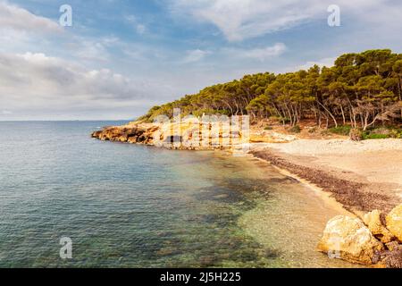 Plage de Port Olivet, Ametlla de Mar, Tarragone, Espagne Banque D'Images