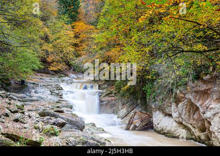 Del Cubo cascade dans la forêt près de Selva de Irati, Lodosa Navarra, Espagne Banque D'Images