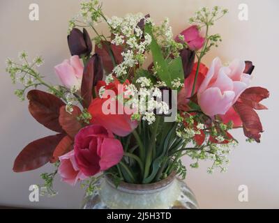 Remplissez votre maison de fleurs coupées et de feuillage : un grand vase de persil de vache mousseux et de tulipes vibrantes aux roses et aux violets apporte un sentiment de joie et d'abondance Banque D'Images