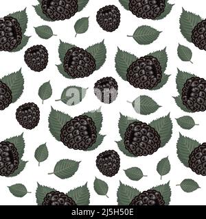 Motif BlackBerry, motif coloré transparent sur fond blanc Illustration de Vecteur