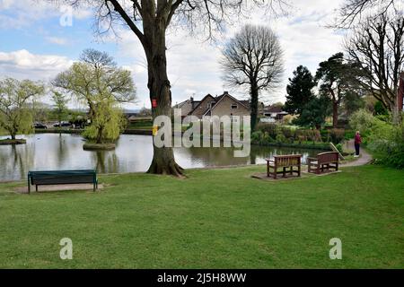 Place assise sur le green surplombant le village de Winterbourne Duck Pond, Bristol, Royaume-Uni Banque D'Images