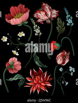 Fleurs botaniques victoriennes et insectes isolés. Tulipe, pivoine et autre. Illustration de Vecteur