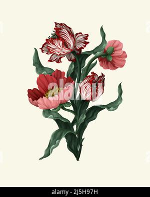 Bouquet de fleurs millésimes comme la tulipe, les coquelicots et les chamomiles. Fond d'écran vectoriel classique. Illustration de Vecteur