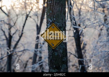 Chemin fermé panneau sur le tronc de l'arbre dans la forêt gelée Banque D'Images