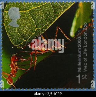 Photo d'un timbre-poste britannique des Millennium Projects avec une image des fourmis de coupe de feuilles d'Amérique du Sud 2000 Banque D'Images