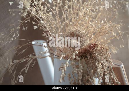 fleurs de carottes sauvages séchées avec herbes séchées et épillets beiges dans un arrosoir blanc sur un fond flou Banque D'Images
