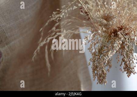 herbes séchées et fleurs séchées de carottes sauvages avec des épillets beiges dans un arrosoir blanc sur un fond flou Banque D'Images