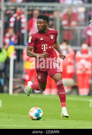 Alphonso DAVIES, FCB 19 dans le match FC BAYERN MÜNCHEN - BORUSSIA DORTMUND 3-1 1.Ligue allemande de football le 23 avril 2022 à Munich, Allemagne. Saison 2021/2022, jour de match 31, 1.Bundesliga, München, 31.Spieltag. FCB, BVB © Peter Schatz / Alamy Live News - LE RÈGLEMENT DFL INTERDIT TOUTE UTILISATION DE PHOTOGRAPHIES comme SÉQUENCES D'IMAGES et/ou QUASI-VIDÉO - Banque D'Images