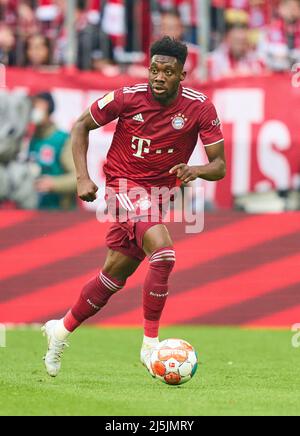 Alphonso DAVIES, FCB 19 dans le match FC BAYERN MÜNCHEN - BORUSSIA DORTMUND 3-1 1.Ligue allemande de football le 23 avril 2022 à Munich, Allemagne. Saison 2021/2022, jour de match 31, 1.Bundesliga, München, 31.Spieltag. FCB, BVB © Peter Schatz / Alamy Live News - LE RÈGLEMENT DFL INTERDIT TOUTE UTILISATION DE PHOTOGRAPHIES comme SÉQUENCES D'IMAGES et/ou QUASI-VIDÉO - Banque D'Images