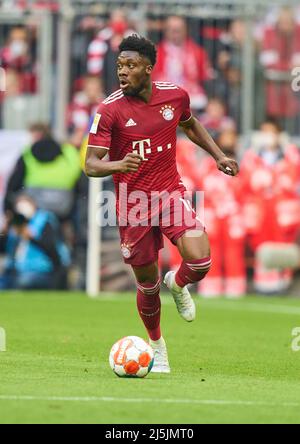 Alphonso DAVIES, FCB 19 dans le match FC BAYERN MÜNCHEN - BORUSSIA DORTMUND 3-1 1.Ligue allemande de football le 23 avril 2022 à Munich, Allemagne. Saison 2021/2022, jour de match 31, 1.Bundesliga, München, 31.Spieltag. FCB, BVB © Peter Schatz / Alamy Live News - LE RÈGLEMENT DFL INTERDIT TOUTE UTILISATION DE PHOTOGRAPHIES comme SÉQUENCES D'IMAGES et/ou QUASI-VIDÉO - Banque D'Images