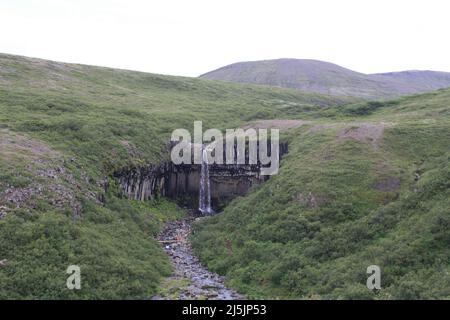 Svartifoss, cascade islandaise, également appelée cascade noire. Banque D'Images