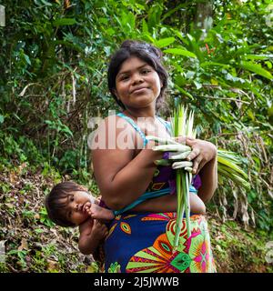 Femme indienne Embera, et bébé avec récolte dans la forêt tropicale près du village à côté de Rio Pequeni, province de Colon, République du Panama, Amérique centrale. Banque D'Images