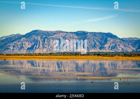 Salt Lake City, Utah, États-Unis paysage stérile au Grand Lac salé. Banque D'Images