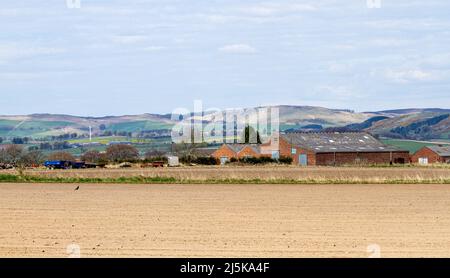 Dundee, Tayside, Écosse, Royaume-Uni. 24th avril 2022. Météo au Royaume-Uni : un beau matin ensoleillé d'avril avec une brise légère et fraîche et des températures tombant à environ 12°C. Vue imprenable sur les collines de Sidlaw et les riches terres agricoles de la campagne de Dundee pendant la saison printanière. Les collines de Sidlaw et la vallée de Strathmore à Dundee ont une vie végétale diversifiée, des antiquités importantes et un rôle unique dans l'histoire scientifique pour une expérience de 18th-siècle dans la « pesée de la terre ». Crédit : Dundee Photographics/Alamy Live News Banque D'Images