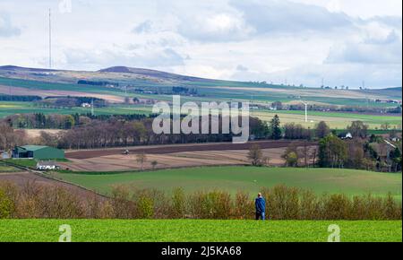 Dundee, Tayside, Écosse, Royaume-Uni. 24th avril 2022. Météo au Royaume-Uni : un beau matin ensoleillé d'avril avec une brise légère et fraîche et des températures tombant à environ 12°C. Vue imprenable sur les collines de Sidlaw et les riches terres agricoles de la campagne de Dundee pendant la saison printanière. Les collines de Sidlaw et la vallée de Strathmore à Dundee ont une vie végétale diversifiée, des antiquités importantes et un rôle unique dans l'histoire scientifique pour une expérience de 18th-siècle dans la « pesée de la terre ». Crédit : Dundee Photographics/Alamy Live News Banque D'Images