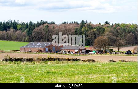 Dundee, Tayside, Écosse, Royaume-Uni. 24th avril 2022. Météo au Royaume-Uni : un beau matin ensoleillé d'avril avec une brise légère et fraîche et des températures tombant à environ 12°C. Vue imprenable sur les collines de Sidlaw et les riches terres agricoles de la campagne de Dundee pendant la saison printanière. Les collines de Sidlaw et la vallée de Strathmore à Dundee ont une vie végétale diversifiée, des antiquités importantes et un rôle unique dans l'histoire scientifique pour une expérience de 18th-siècle dans la « pesée de la terre ». Crédit : Dundee Photographics/Alamy Live News Banque D'Images