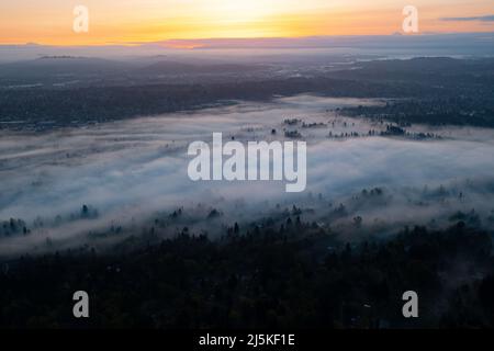 Un lever de soleil coloré illumine une couche de brouillard qui couvre la pittoresque rivière Willamette, non loin au sud de Portland, Oregon. Banque D'Images