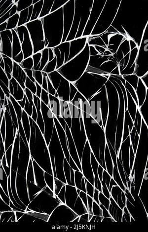 verre brisé. fissures isolées sur fond noir. Banque D'Images