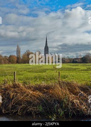 Vue sur la cathédrale de Salisbury en plein soleil, vue sur la verdure des prés d'eau de Harnham et sur un ciel bleu et de coton. Banque D'Images