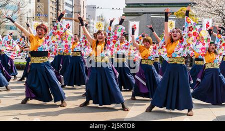 Une équipe japonaise de danseurs de Yosakoi dansant dans des tuniques yukata colorées en plein air au festival Kyusyu Gassai au printemps à Kumamoto. Banque D'Images