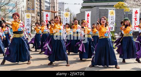 Une équipe japonaise de danseurs de Yosakoi dansant dans des tuniques yukata colorées en plein air au festival Kyusyu Gassai au printemps à Kumamoto. Banque D'Images