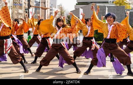 L'équipe japonaise de danseurs de Yosakoi dansant en tuniques yukata et tenant naruko, des trappeurs, en plein air au printemps Kyusyu Gassai festival à Kumamoto. Banque D'Images