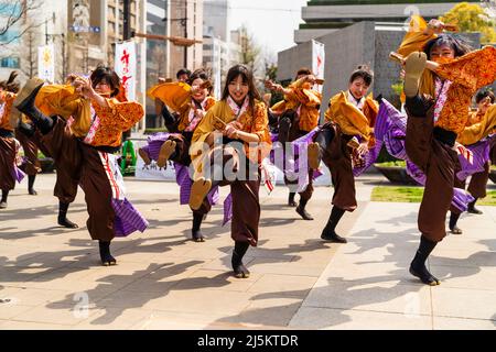 L'équipe japonaise de danseurs de Yosakoi dansant en tuniques yukata et tenant naruko, des trappeurs, en plein air au printemps Kyusyu Gassai festival à Kumamoto. Banque D'Images