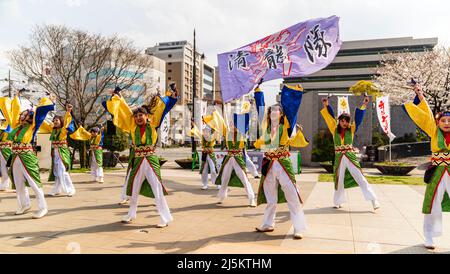 L'équipe japonaise de danseurs de Yosakoi dansant en tuniques yukata et tenant naruko, des trappeurs, en plein air au printemps Kyusyu Gassai festival à Kumamoto. Banque D'Images