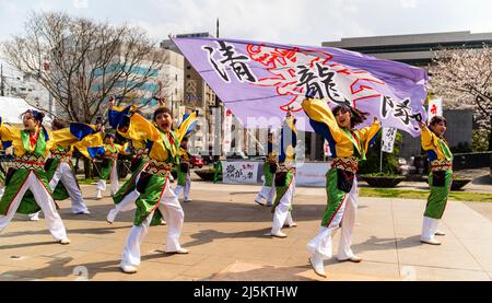 L'équipe japonaise de danseurs de Yosakoi dansant en tuniques yukata et tenant naruko, des trappeurs, en plein air au printemps Kyusyu Gassai festival à Kumamoto. Banque D'Images