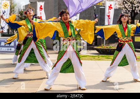 L'équipe japonaise de danseurs de Yosakoi dansant en tuniques yukata et tenant naruko, des trappeurs, en plein air au printemps Kyusyu Gassai festival à Kumamoto. Banque D'Images