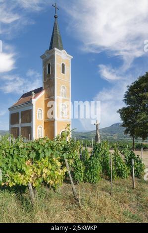 Église dans le vignoble de Badacsony, Balaton, Hongrie Banque D'Images