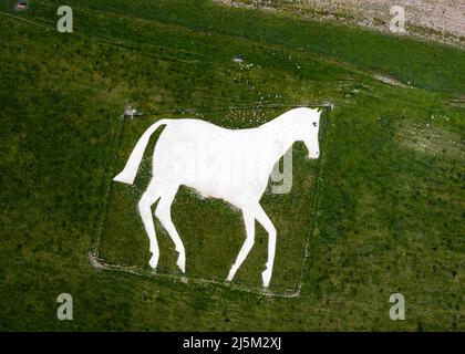 Devizes Millennium White Horse (alias « Chalkie ») à Roundway Hill, à la périphérie de Devizes, dans le Wiltshire, terminé pour la première fois le 29 septembre 1999. Banque D'Images