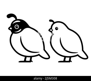 Dessin de caille californienne mâle et femelle. Simple logo ou icône noir et blanc. Illustration d'oiseau vecteur isolé. Illustration de Vecteur