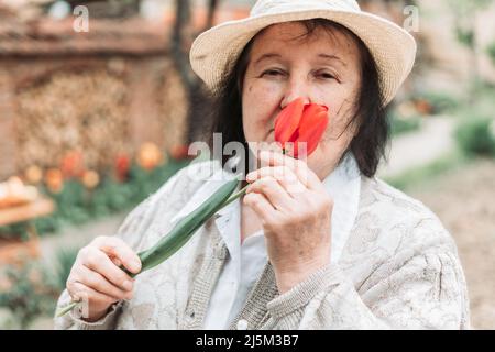Gros plan d'une femme âgée qui sent de la tulipe fraîchement cueillie du jardin Banque D'Images