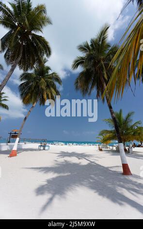 Île de Bangaram, Lakshadweep, Inde. Beauté naturelle de l'île avec sable blanc et eau de mer claire. Banque D'Images