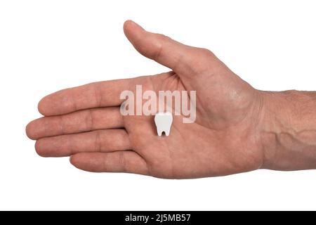 Main d'homme avec dent isolée sur fond blanc. Hygiène bucco-dentaire, concept de soins dentaires. Photo de haute qualité Banque D'Images