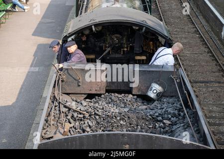 Vue aérienne de la cabine, du conducteur et de l'opérateur de charbon de la locomotive à vapeur 30925 qui fonctionne sur la ligne Watercress historique. Hampshire, Angleterre Banque D'Images