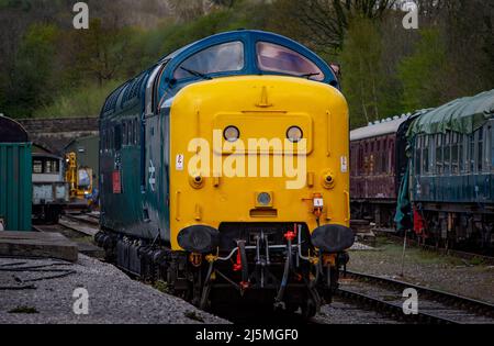 Ancien BR classe 55 'Deltic', 55019 nommé 'Royal Highland Fusilier' opérant dans la gare Wirksworth, sur le chemin de fer Ecclesbourne Valley. Banque D'Images