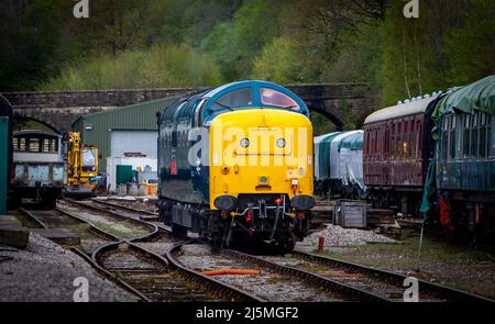 Ancien BR classe 55 'Deltic', 55019 nommé 'Royal Highland Fusilier' opérant dans la gare Wirksworth, sur le chemin de fer Ecclesbourne Valley. Banque D'Images