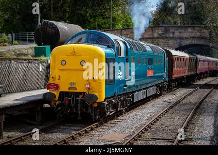 Ancien BR classe 55 'Deltic', 55019 nommé 'Royal Highland Fusilier' opérant dans la gare Wirksworth, sur le chemin de fer Ecclesbourne Valley. Banque D'Images