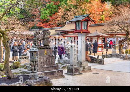 kyushu, fukuoka - décembre 07 2019 : sculptures en pierre et lanternes ornées de divinités protectrices comme les chiens de komainu ou les lions de shishi à part la pl séchée Banque D'Images