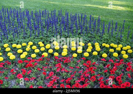 Fleurs dans le parc de Bundek, Zagreb, Croatie Banque D'Images