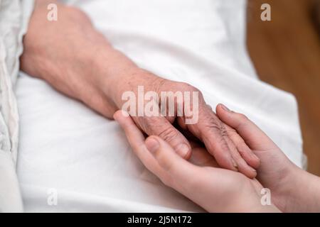 Les mains du petit-fils tiennent la main froissée d'une grand-mère âgée malade dans une clinique médicale. Le concept de l'amour et du soin. Mouvement lent. Banque D'Images