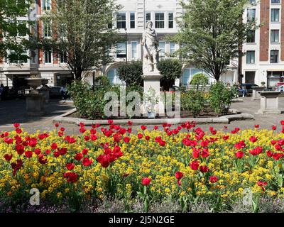 Une vue sur Golden Square à Soho Londres Royaume-Uni lors d'une belle journée de printemps avec un lit de belles fleurs de printemps Banque D'Images