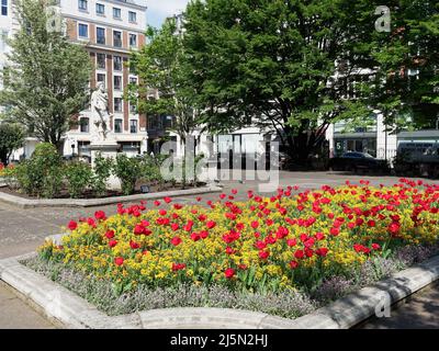 Une vue sur Golden Square à Soho Londres Royaume-Uni lors d'une belle journée de printemps avec un lit de belles fleurs de printemps Banque D'Images