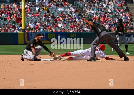 Anaheim, Californie, États-Unis. 24th avril 2022. Baltimore Orioles deuxième baseman Chris Owings (11) identifie Los Angeles Angels désigné hitter Shohei Ohtani (17) lors d'un match de baseball MLB entre les Baltimore Orioles et les Los Angeles Angels à Angel Stadium à Anaheim, Californie. Justin Fine/CSM/Alamy Live News Banque D'Images