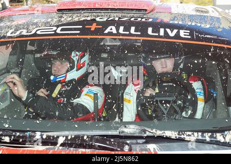 Zagreb, Croatie. 24th avril 2022. Kalle Rovanpera (R) et son copilote Jonne Halttunen de Finlande concourent dans leur voiture Toyota GR Yaris Rally1 lors du Rallye de Croatie 2022, troisième tour du Championnat du monde de rallye FIA à Kumrovec, Croatie, le 24 avril 2022. Credit: Luka Stanzl/PIXSELL via Xinhua/Alay Live News Banque D'Images