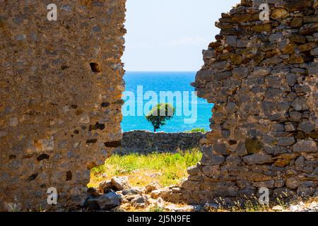 Les ruines de la ville antique d'Anemurium et un arbre près de la mer Méditerranée. Voyage en Turquie photo de fond. Mise au point sélective. Banque D'Images